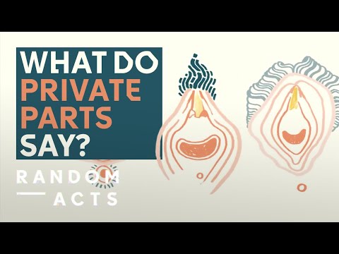 What your private parts say about you | Private Parts by Anna Ginsburg | Short Film | Random Acts