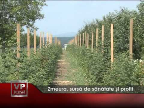 „Un Paște cu Fapte Bune!” – Campanie de donații