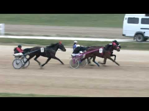 Lósport: Az elmúlt hétvége galopp-ügető futamai a Kincsem Parkból