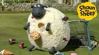 Shaun the Sheep 🐑 The Hungry Sheep - Cartoons for Kids 🐑 Full Episodes Compilation [1 hour]