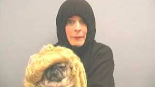 The Maria Bamford Show 04 Search for Meaning