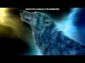 «Wolf» под музыку Мурат Тхагалегов - Одинокий волк 