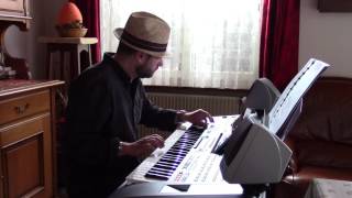 Du hast mich tausendmal belogen (Andrea Berg) - Tyros 5