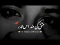 Mehshar Afridi Poetry Status Whatsapp Status Video Dukhistatus