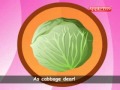 Cabbage Song