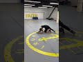 Allie Alyssa 1 Shot To 1 Turn