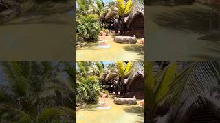 MSC SEASHORE | COSTA MAYA #travel