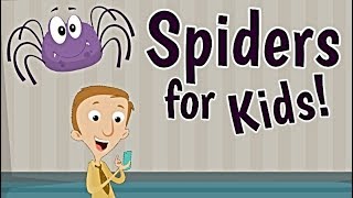 Spiders for Kids | Educational Science Videos