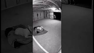 A Strange Creature Stands at the half open gate until the Dog Moves Closer #cctv #scary #dog #fyp