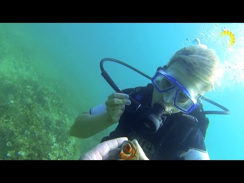 Tauchen bei Poreč in Istrien