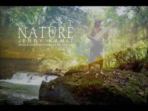 JERRY KAMIT - NATURE (OFFICIAL MUSIC VIDEO)