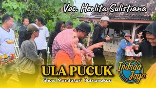 Download lagu ULA PUCUK VOC. HERLITA SULISTIANA • INDRAA JAYA - SHOW MUNDUSARI PAMANUKAN  mp3