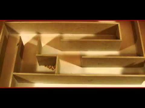 Seninle Kafam Güzel - Zardanadam