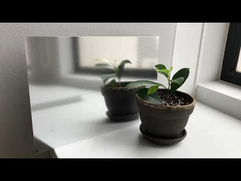 バンドクサルデコール　アルミ梨地半鏡面（AL-125）