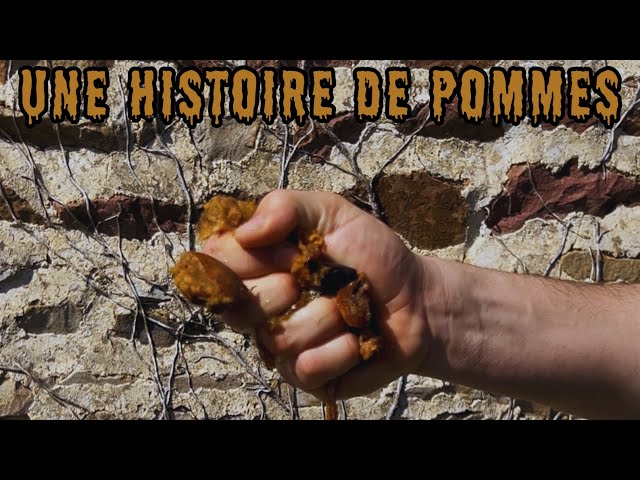 Une histoire de pommes