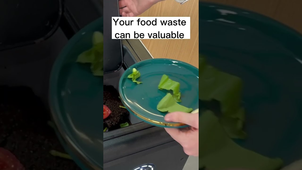 Zero-Waste Kitchen: Minimizing Food Waste and Maximizing Sustainability 🍽️ #composting #foodwaste