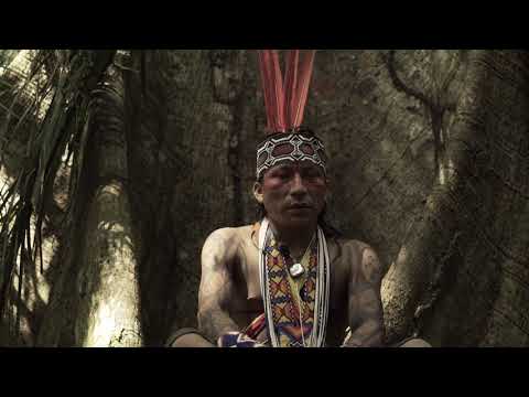 Ayahuasca: the sacred medicine from the forest - Txana Ikakuru Huni Kuin - MappingMedicine#019