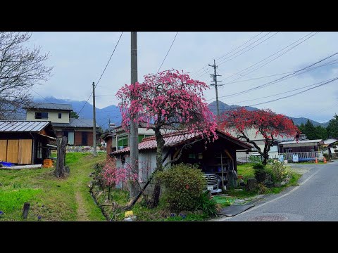 4K Japan Walk, Beautiful Japanese Village Walking Tour 2026 HDR