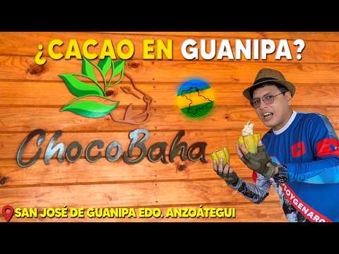 ¡Visitamos la PRIMERA Fábrica de Chocolate en el Sur de Anzoátegui! 🍫 Chocobaha