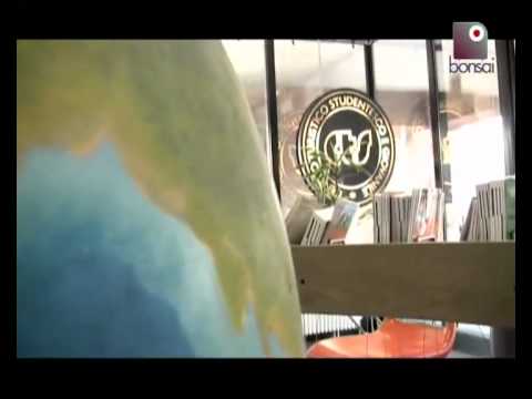 Vacanze alternative: ecco le migliori | Bonsai TV