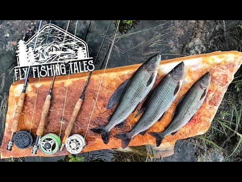 Search for Graylings - Fly Fishing Tales #4