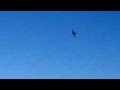Gripen