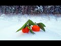 Телевизор - Мандариновый снег \ Mandarinen Snow 