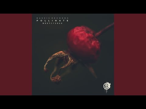 Orion (Harrison Downes Remix)