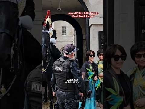 Armed Police Confront idiot tourist who Touched the Horse #shorts #royalguard #kingsguard