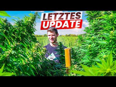 Ernte im Blütendschungel - Outdoor Topping Ergebnisse 2024