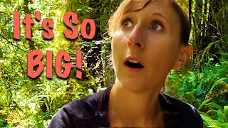 The Biggest We've Seen! | Truck Camper Vlog | RV Life | DestinatioNow Ep 116
