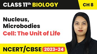 Nucleus, Microbodies - Cell: The Unit of Life | Class 11 Biology Chapter 8 | CBSE