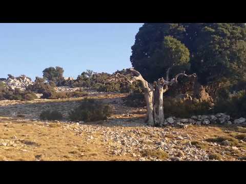Πανσέληνος και έκλειψη στο Οροπέδιο Καθαρό