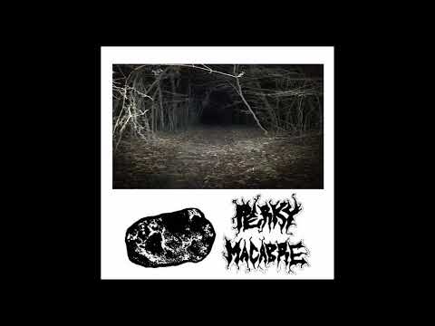 BxGxM - Split w / Perky Macabre