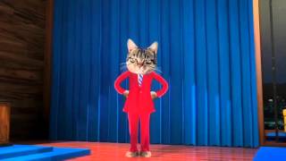 Harry Pussy News late night show