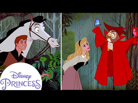 How Did Aurora Meet Prince Phillip? | Disney Princess