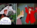 How Did Aurora Meet Prince Phillip Disney Princess