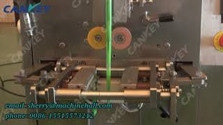 Low Price Tomato Ketchup Packing Machine youtube video