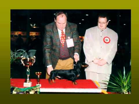 Janos Marcze memorialfilm