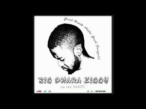 Ziggy ft Shilture - Zviripo