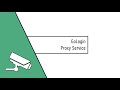 GoLogin proxy service