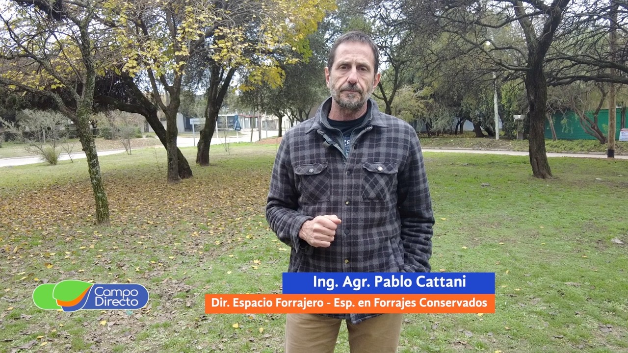Campo Directo | Minimizar riesgos a la hora de planificar forrajes
