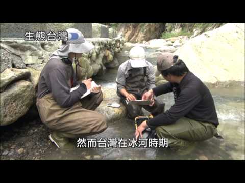 生態台灣系列影集-第012集 繽紛水世界 台灣的濕地生態棲息