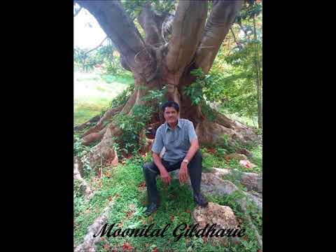 Moonilal Gildharie