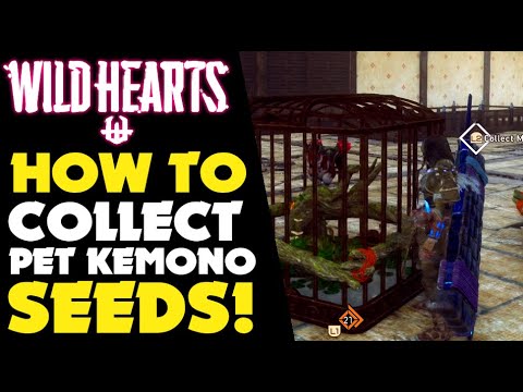 PET KEMONO SEEDS GUIDE in WILD HEARTS | Wild Hearts PS5 Gameplay #WildHearts