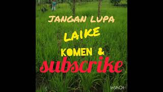 Download lagu sasak terbaru 2021 ikhlas tebilin mp3 mp3