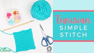 Tunisian Crochet Simple Stitch Tutorial