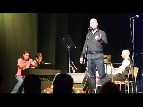 Sinisa Pajic - Vece sa prijateljima - Pukni zoro