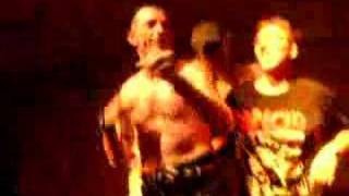 real mckenzies thistle boy