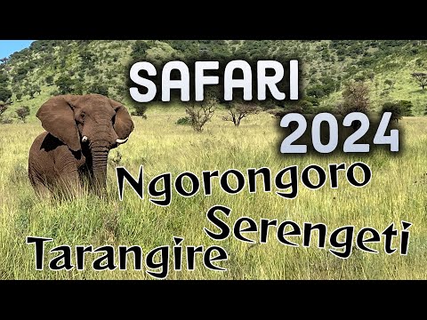 Ngorongoro, Serengeti Tanzania Safari trip 2024 - 4K